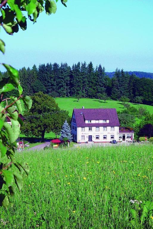 Gasthaus Und Pension Hintere Hofe Freiamt Eksteriør billede